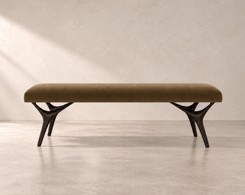Product Collection Image