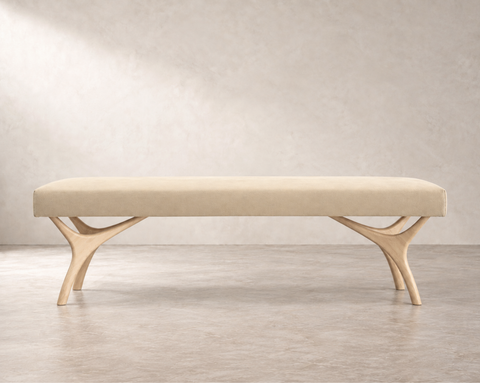 Product Collection Image