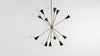 Spore Chandelier