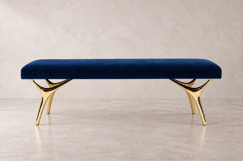 Product Collection Image