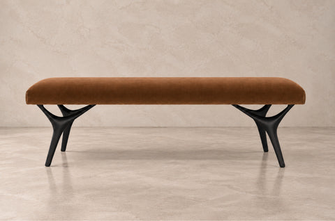 Product Collection Image