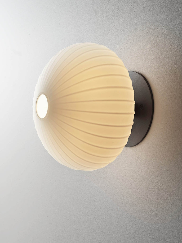 Product Collection Image