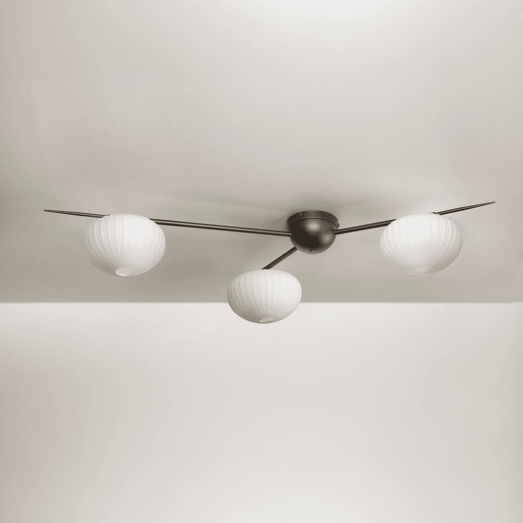 Product Collection Image