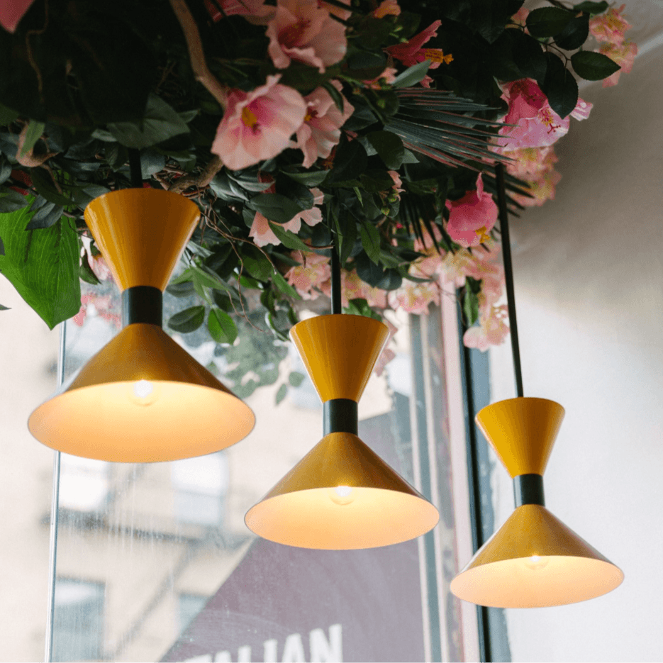 Product Collection Image